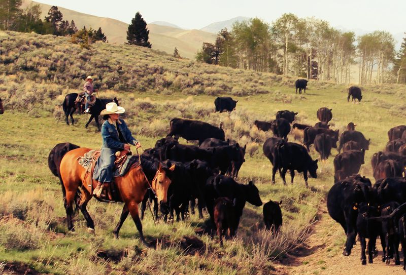 Living Western Heritage