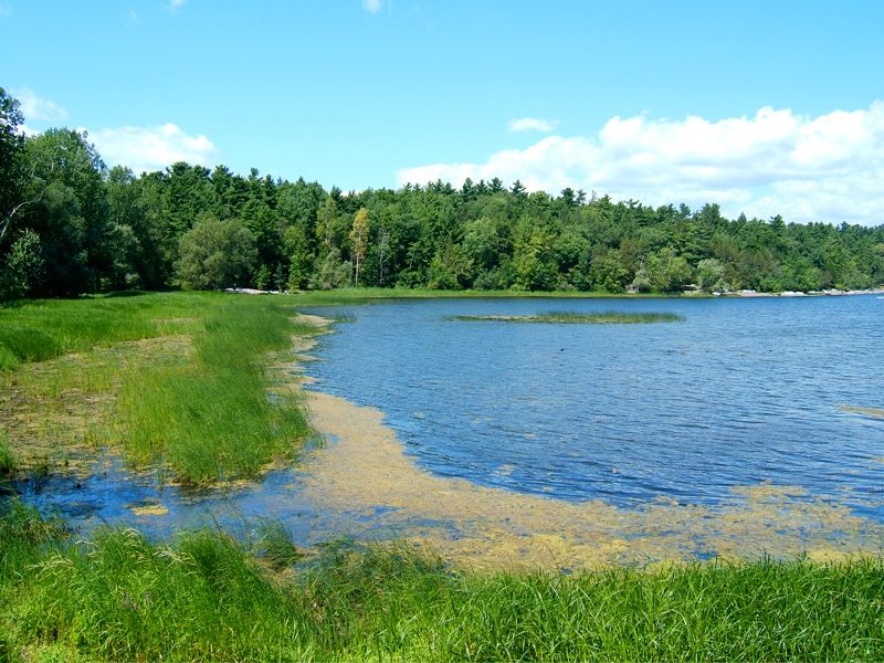 Lake Champlain's Natural Beauty