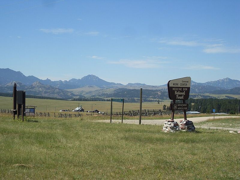 Medicine Bow National Forest