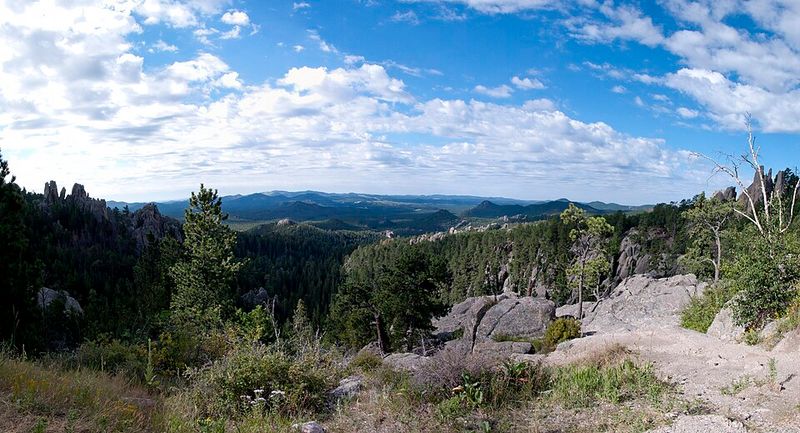 Needles Highway (South Dakota)