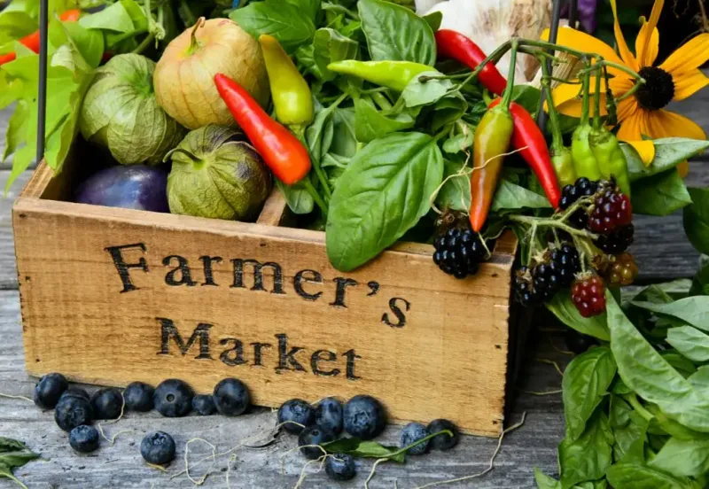 Hilton Head Island Farmers Market - Coastal Discovery Museum