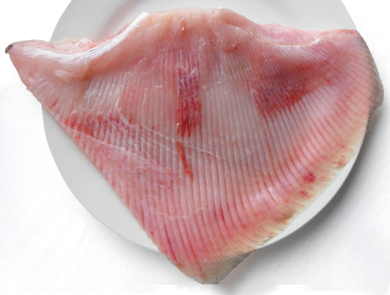 Skate Wing