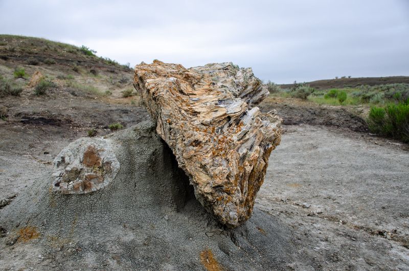 Petrified Forest Loop