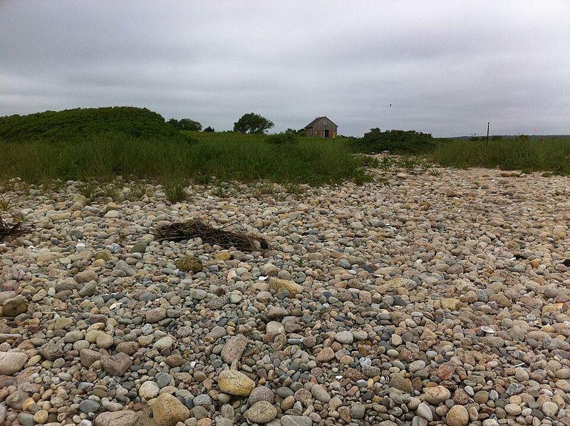 Beaches Worth the Detour