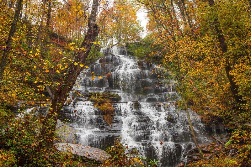Seasonal Photography and Wildlife Opportunities