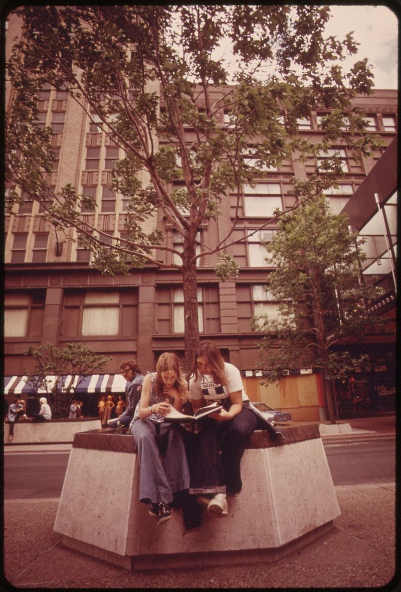 City Life And Studying