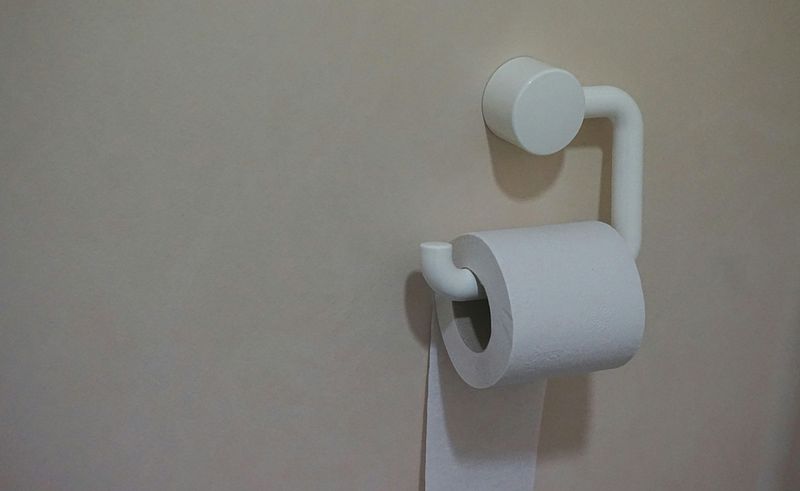 The Toilet Snake