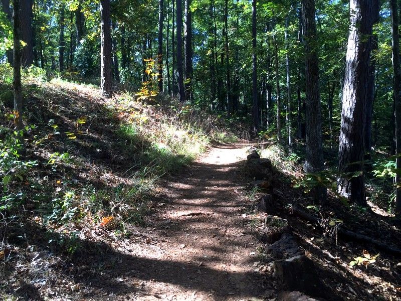 Tyler and Longview's Trail Networks