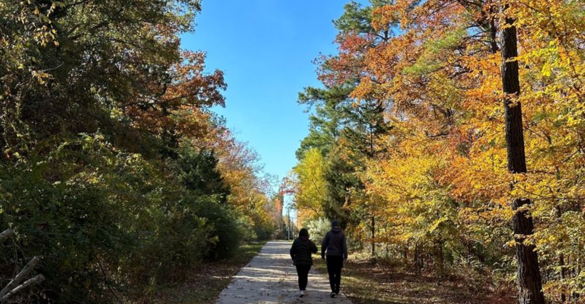 The Best Walking And Hiking Spots According To East Texans