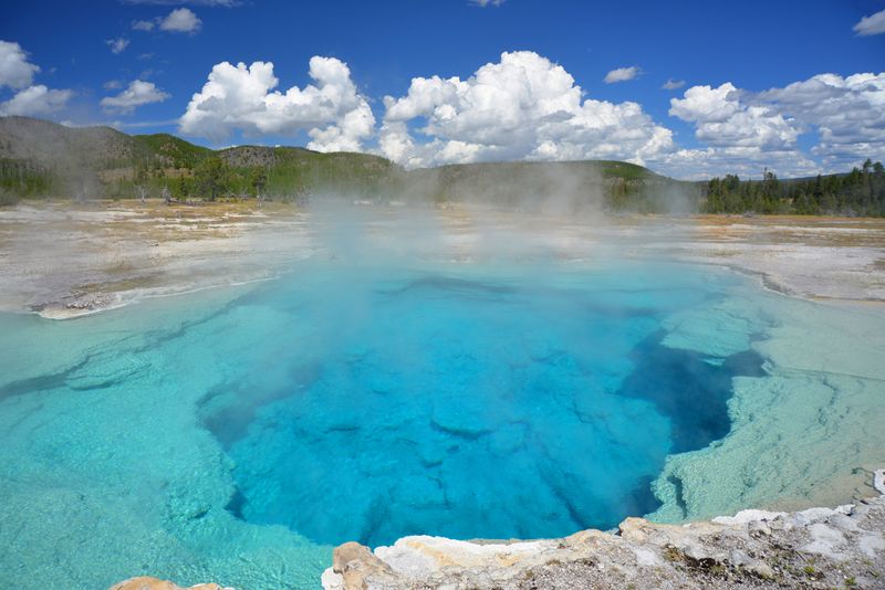 A Rare Event in Yellowstone’s Living Landscape