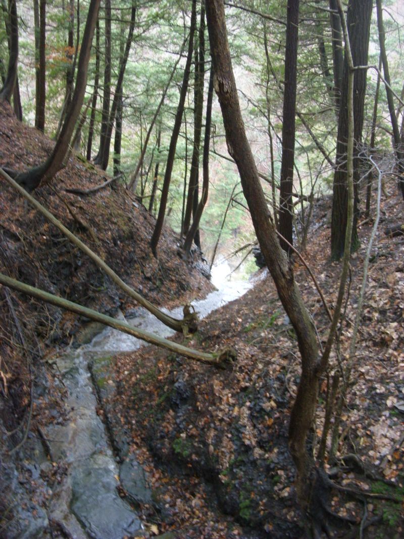 Waterfalls and Gorges Worth Exploring