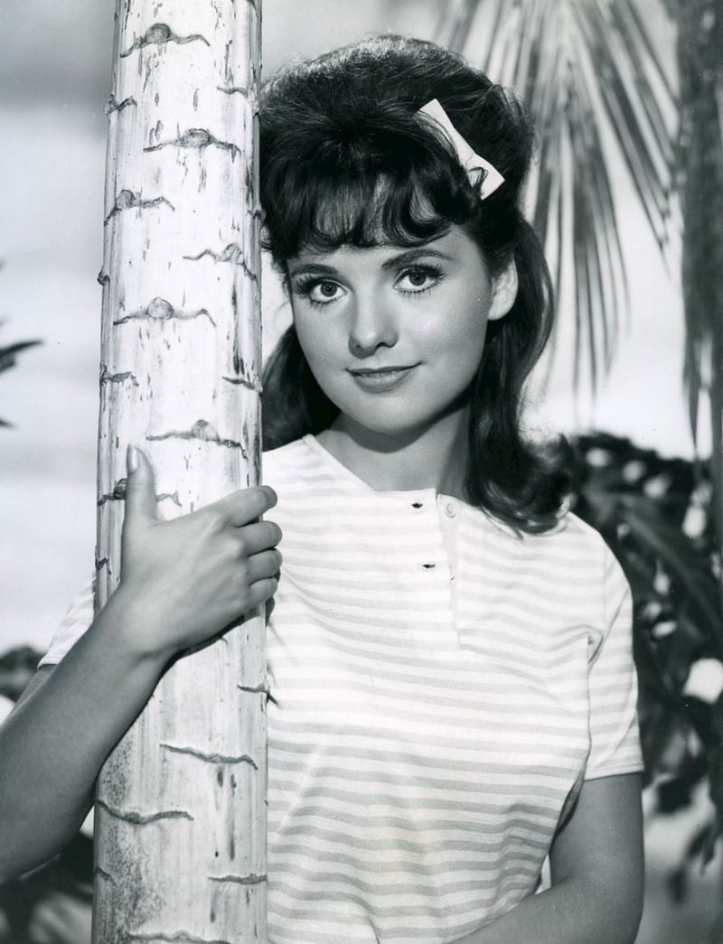 Gilligan's Island - Class Stereotypes Marooned Together, Forced Into Cooperation