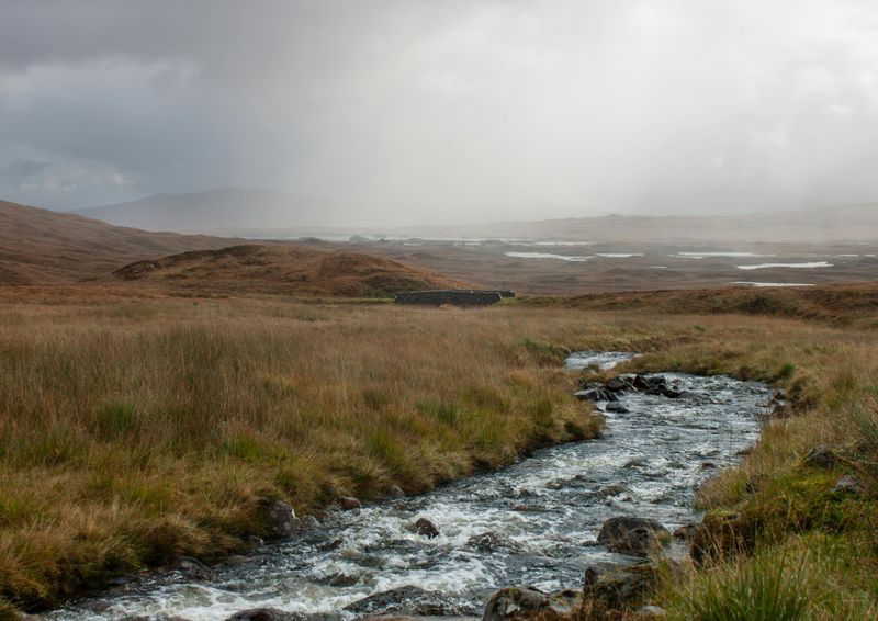 Wuthering Heights by Emily Brontë