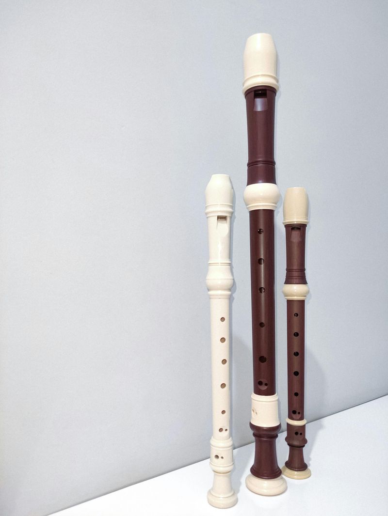 Recorders In Music Class