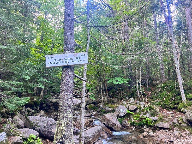 Ridge Walking Above Treeline
