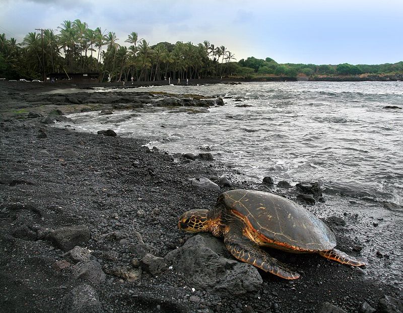 Mahai'ula Beach's Tranquil Waters