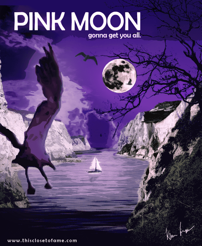 Nick Drake – Pink Moon