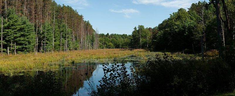 Wells State Park Outdoor Recreation