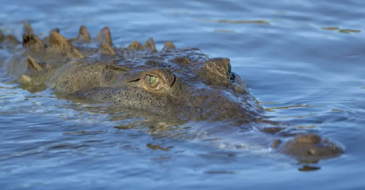 The Risky Reality Behind Florida’s Satellite Beach