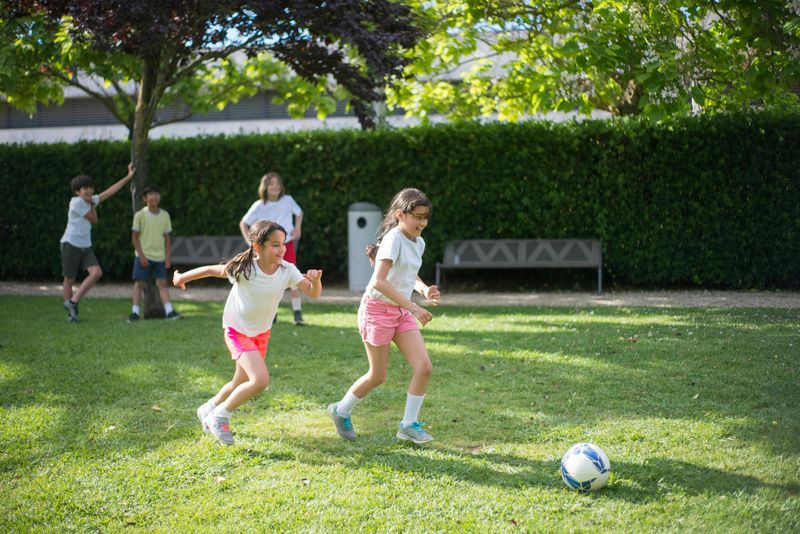 Kickball Boundaries Are Decided By Whoever Has The Ball