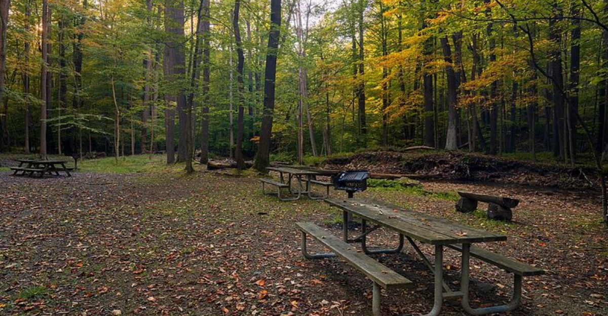 The Serene Woodland Retreat Locals Adore In Pennsylvania