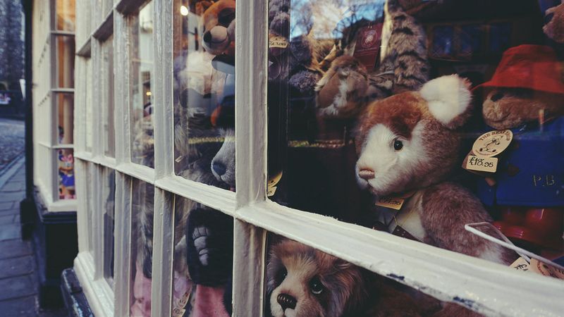 The Toy Store is Closed Today