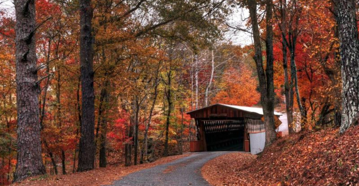 This Blount County Alabama Town Peaks In Autumn Colors