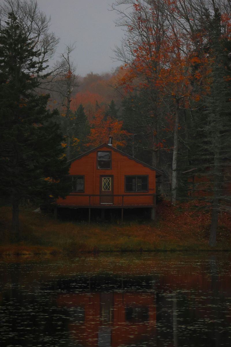 The House in the Pines by Ana Reyes