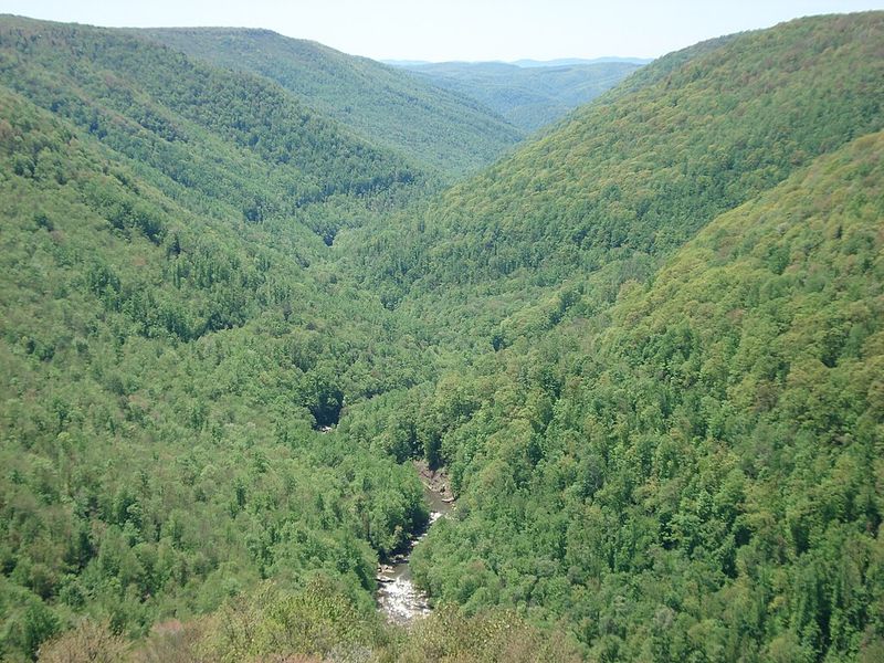 Lindy Point Overlook Steals Your Breath Away