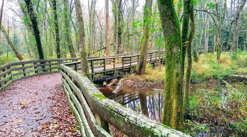 Bob Trail