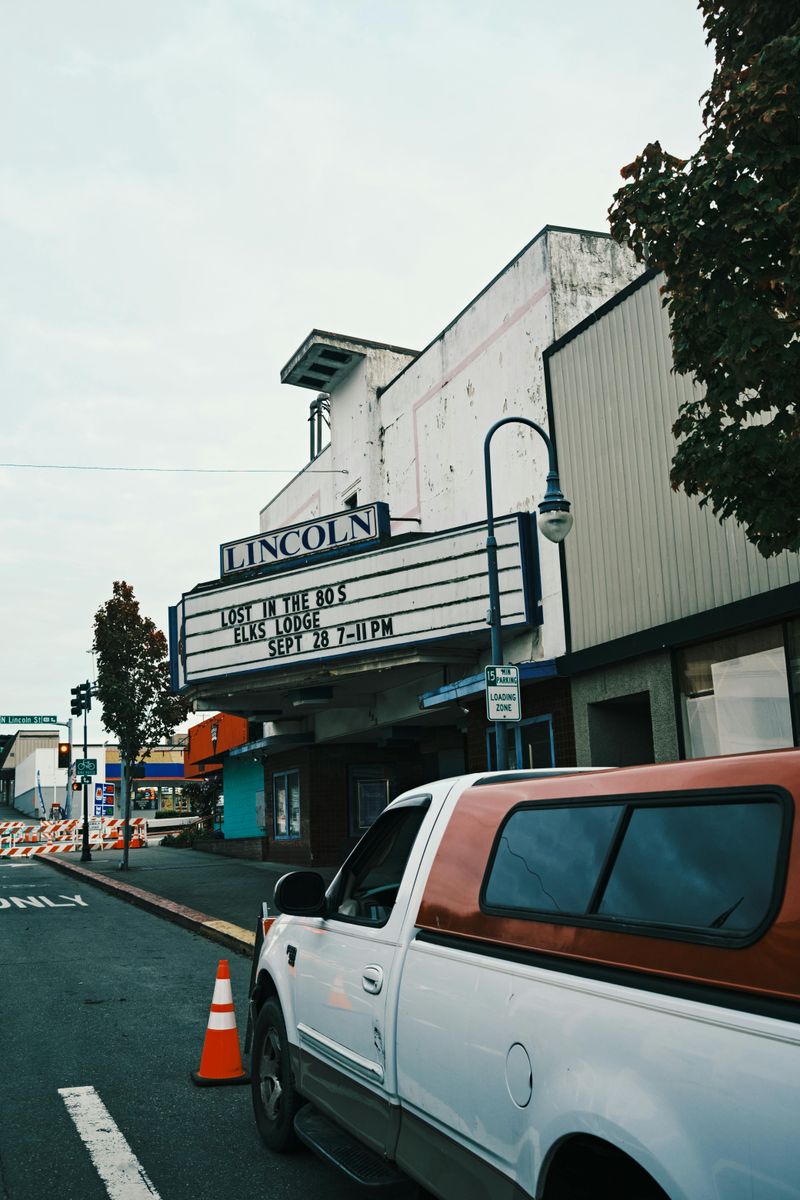 Drive-In Movie Theaters