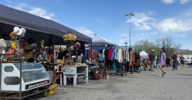 The Boise Flea