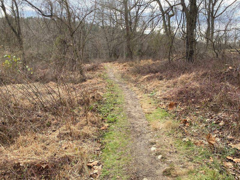 Tri-State Marker Loop