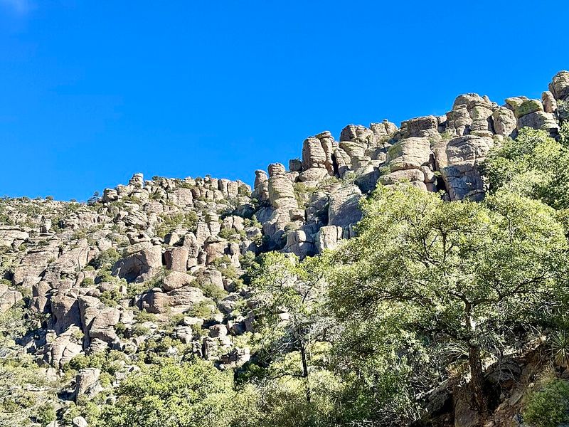 Bonita Canyon Drive Scenic Route