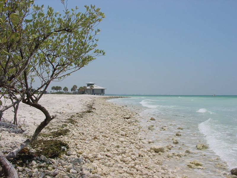 Honeymoon Island