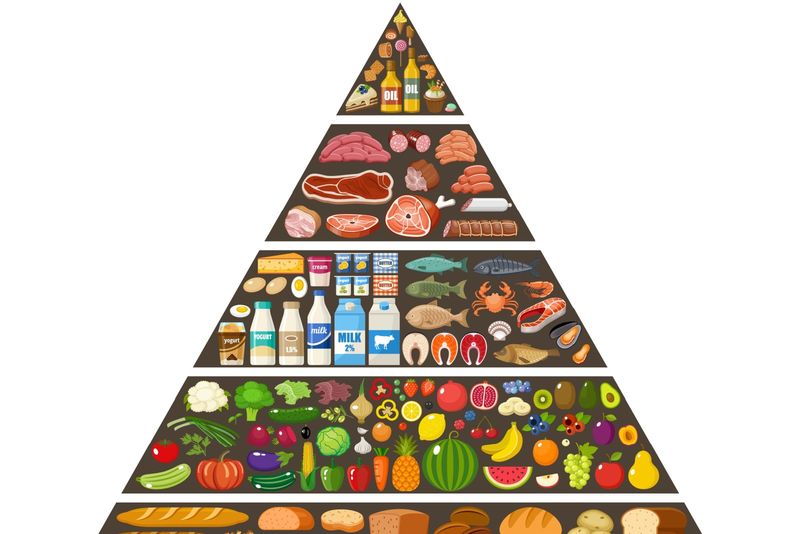 The Food Pyramid