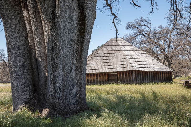 California's Hidden Native Gem in the Sierra Nevada Foothills