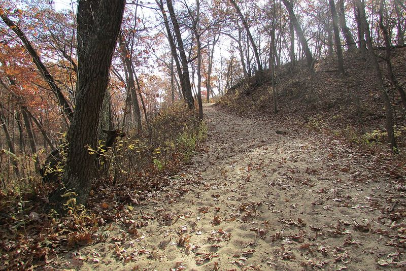 Indiana Dunes State Park's Trail 9 (Highest Dune Ridges)