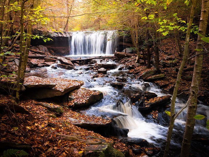 Falls Trail System, Ricketts Glen