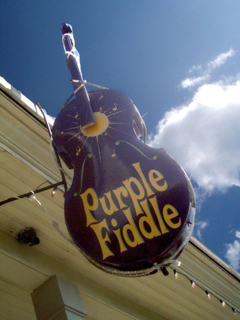 The Purple Fiddle Brings Live Music To Life