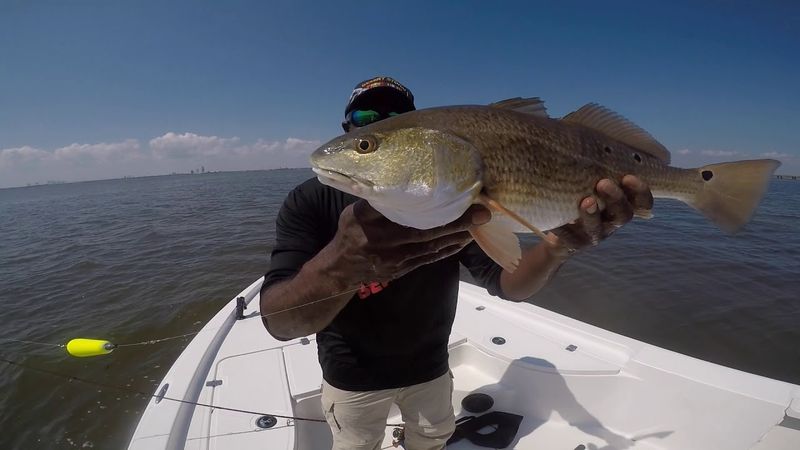 Montrose: Hidden Bayou Gem