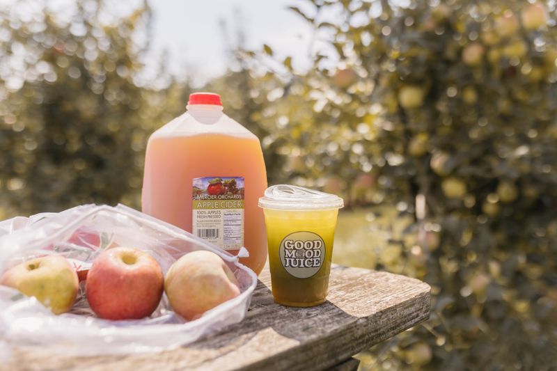 Planning Your Orchard Visit