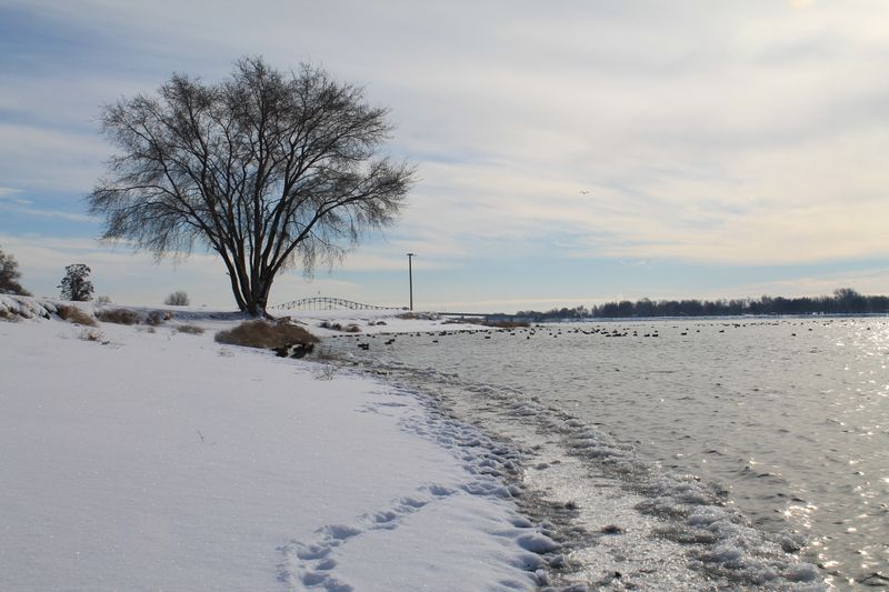 Pasco's Winter Charm