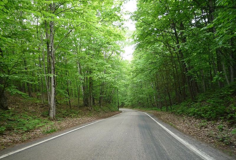 Tunnel of Trees, Michigan