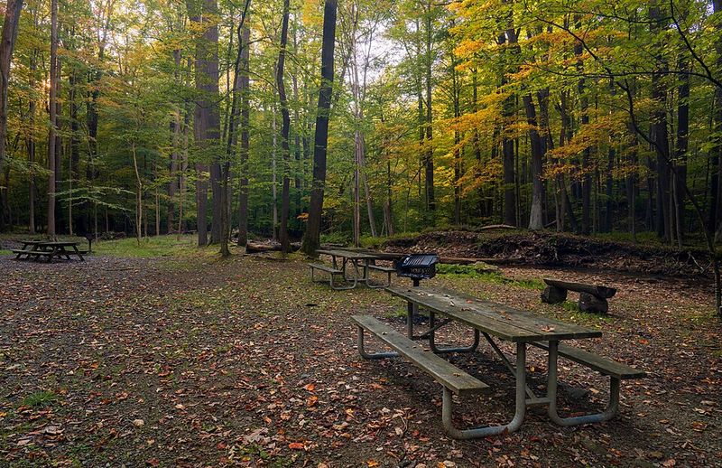 Picnic Areas Perfect for Family Gatherings