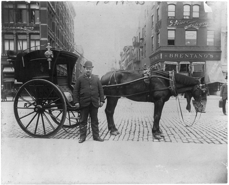 Horse-Drawn Carriages on City Streets
