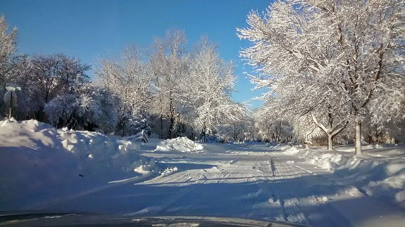 Winter Transforms the Landscape