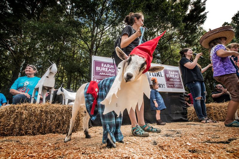 Town Festivals Celebrate the Most Random Themes