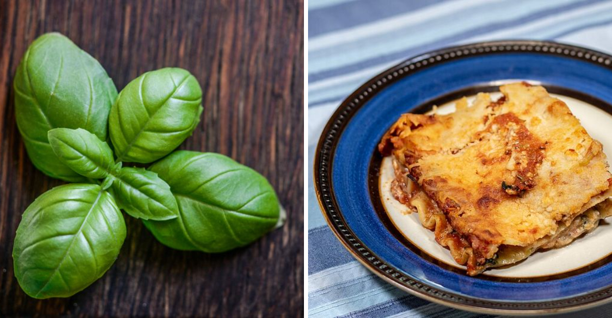10 Simple Secrets For A More Delicious Lasagna