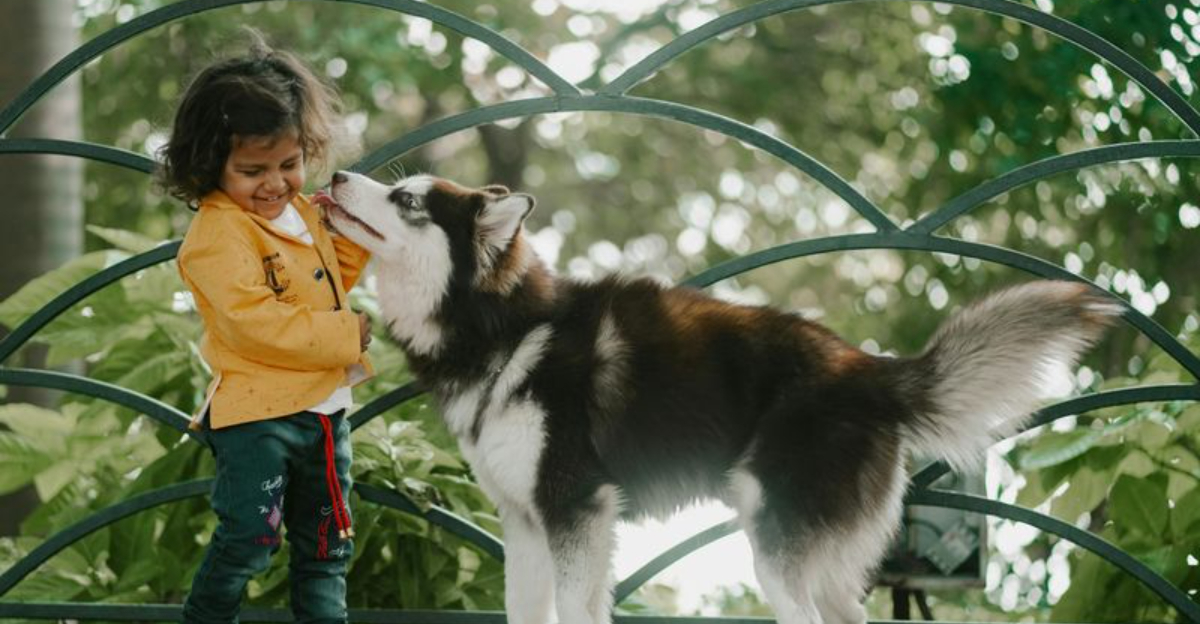 10 Things Parents Let Their Kids Do In The ’70s That You’d Never Let Happen Today